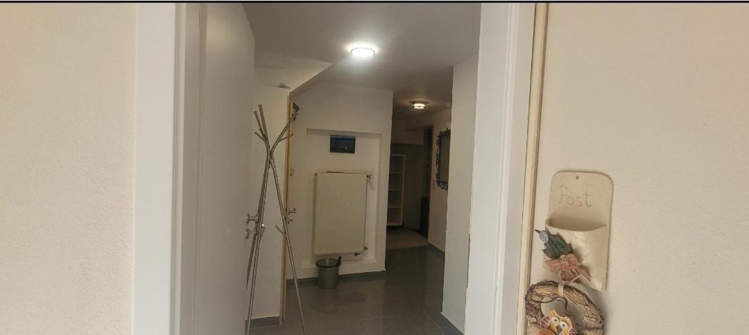 Ferien-Apartment Meter Neumagen-Dhron Dış mekan fotoğraf