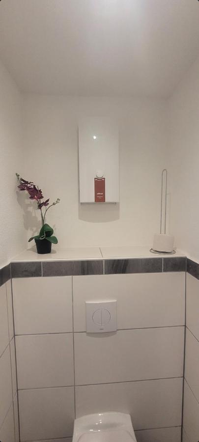 Ferien-Apartment Meter Neumagen-Dhron Dış mekan fotoğraf